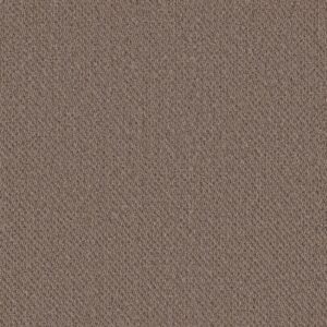 Philadelphia Commercial Carpet Prospect Promise 83108_54983