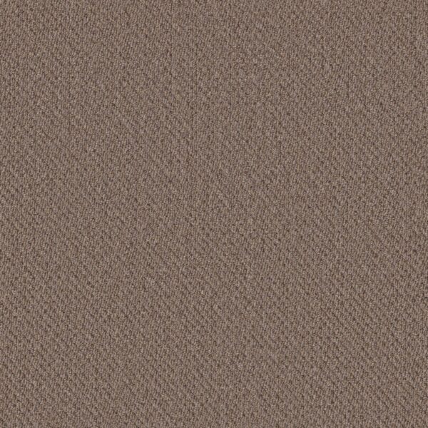 Philadelphia Commercial Carpet Prospect Promise 83108_54983