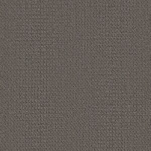 Philadelphia Commercial Carpet Prospect Inquire 83500_54983