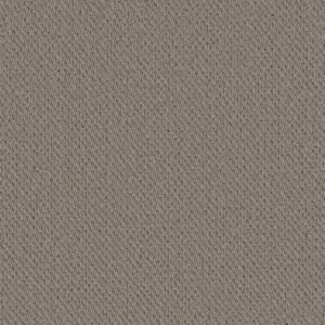 Philadelphia Commercial Carpet Prospect Perspective 83501_54983