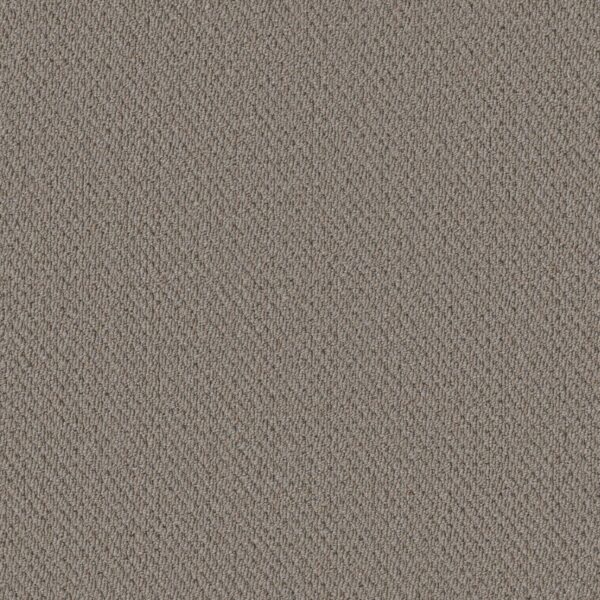 Philadelphia Commercial Carpet Prospect Perspective 83501_54983