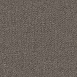 Philadelphia Commercial Carpet Prospect Opportunity 83505_54983