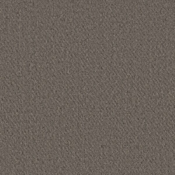 Philadelphia Commercial Carpet Prospect Opportunity 83505_54983