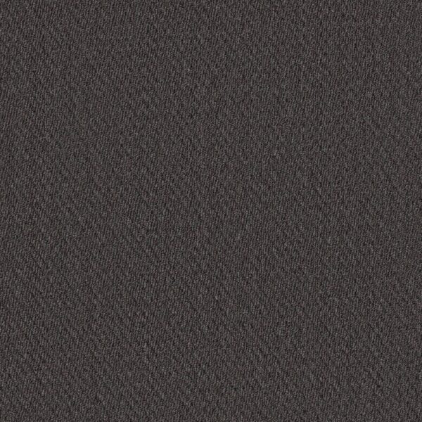Philadelphia Commercial Carpet Prospect Possibility 83540_54983