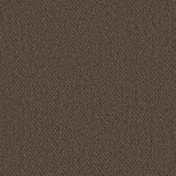 Philadelphia Commercial Carpet Prospect Chance 83708_54983