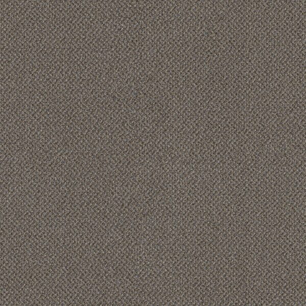 Philadelphia Commercial Carpet Small Wonder Exceptional 84104_54984