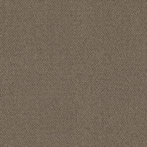 Philadelphia Commercial Carpet Small Wonder Unique 84201_54984
