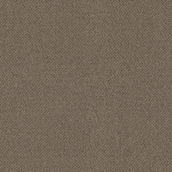 Philadelphia Commercial Carpet Small Wonder Unique 84201_54984