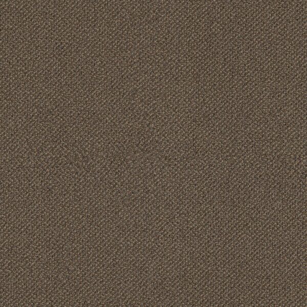 Philadelphia Commercial Carpet Small Wonder Special 84205_54984