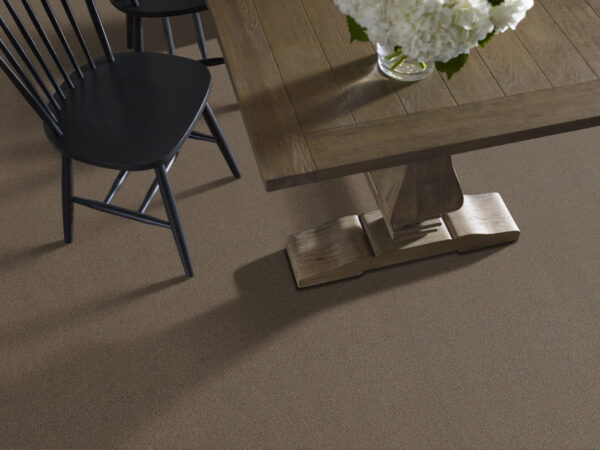 Philadelphia Commercial Carpet Small Wonder Special 84205_54984 - Image 2