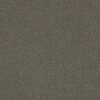 Philadelphia Commercial Carpet Small Wonder Miracle 84302_54984