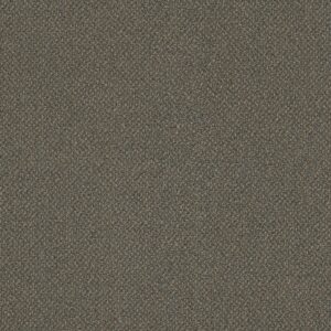 Philadelphia Commercial Carpet Small Wonder Miracle 84302_54984