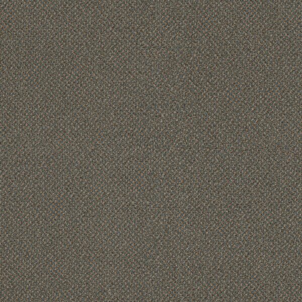 Philadelphia Commercial Carpet Small Wonder Miracle 84302_54984