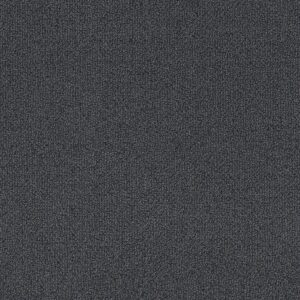 Philadelphia Commercial Carpet Small Wonder Spectacular 84401_54984