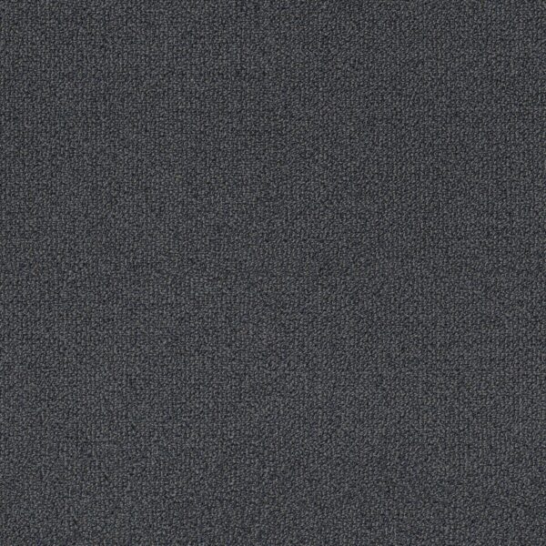 Philadelphia Commercial Carpet Small Wonder Spectacular 84401_54984
