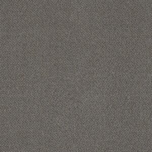Philadelphia Commercial Carpet Small Wonder Wondrous 84501_54984