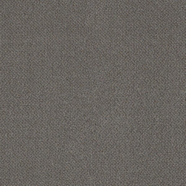 Philadelphia Commercial Carpet Small Wonder Wondrous 84501_54984