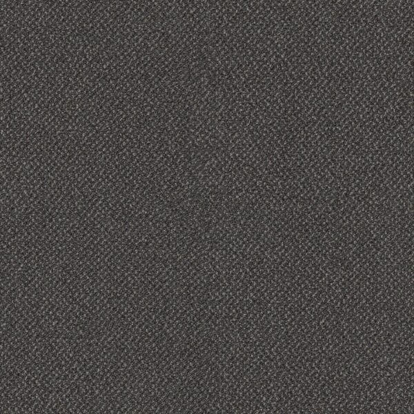 Philadelphia Commercial Carpet Small Wonder Incredible 84503_54984