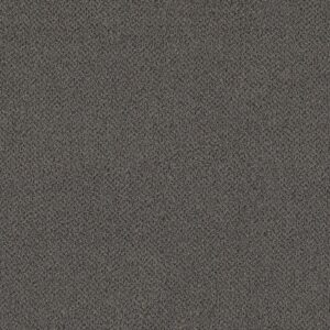 Philadelphia Commercial Carpet Small Wonder Notable 84505_54984