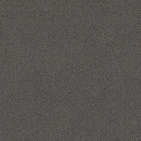 Philadelphia Commercial Carpet Small Wonder Notable 84505_54984