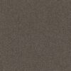 Philadelphia Commercial Carpet Small Wonder Rarity 84702_54984