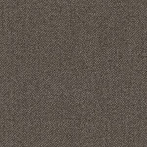 Philadelphia Commercial Carpet Small Wonder Rarity 84702_54984
