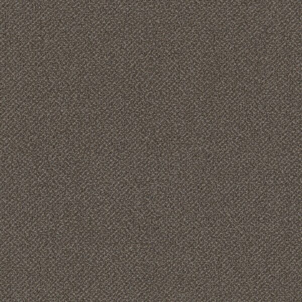 Philadelphia Commercial Carpet Small Wonder Rarity 84702_54984