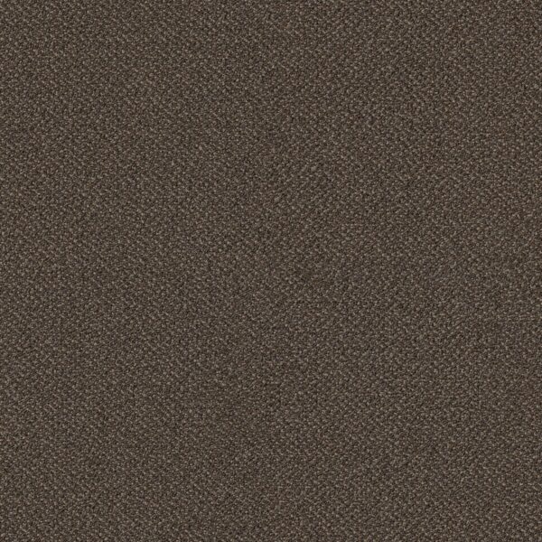 Philadelphia Commercial Carpet Small Wonder Fascinate 84708_54984