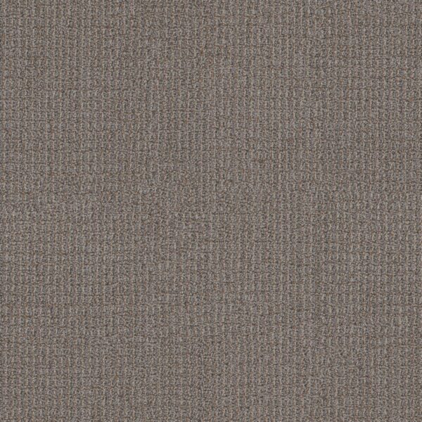 Philadelphia Commercial Carpet Free Press Publisher 00200_54985