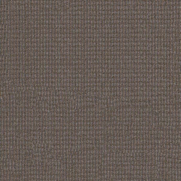 Philadelphia Commercial Carpet Free Press News 00204_54985