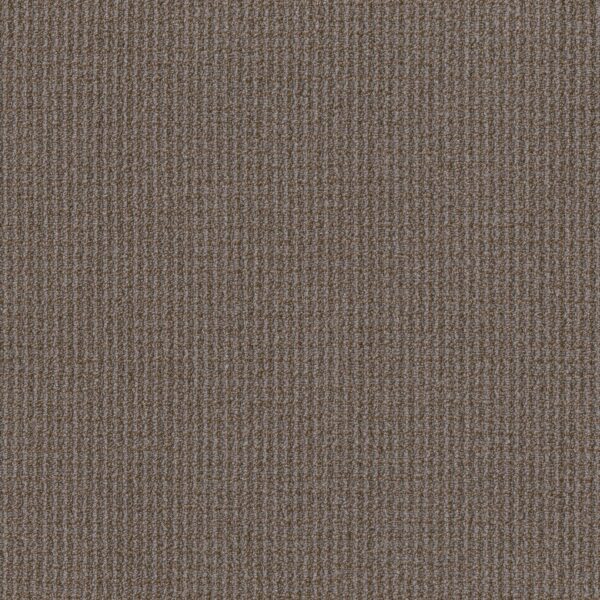 Philadelphia Commercial Carpet Free Press Media 00206_54985