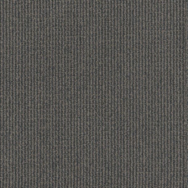 Philadelphia Commercial Carpet Free Press Broadcast 00508_54985