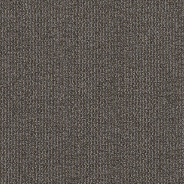 Philadelphia Commercial Carpet Free Press Inform 00700_54985