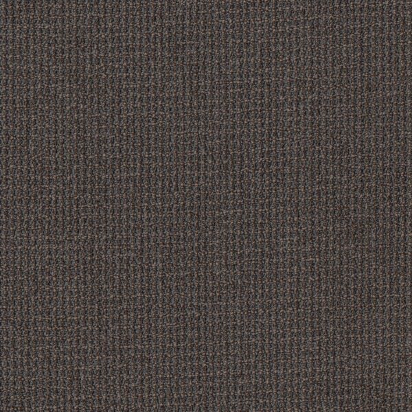 Philadelphia Commercial Carpet Free Press Release 00710_54985