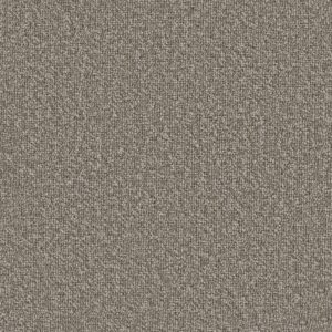 Philadelphia Commercial Carpet Avenue Madison 00100_54989