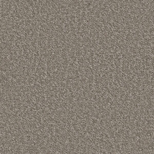 Philadelphia Commercial Carpet Avenue Madison 00100_54989