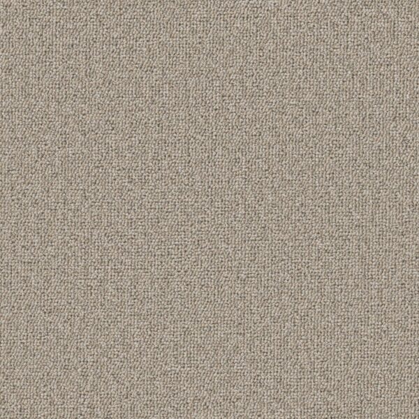 Philadelphia Commercial Carpet Avenue Jefferson 00202_54989