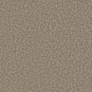 Philadelphia Commercial Carpet Avenue Sherwood 00204_54989