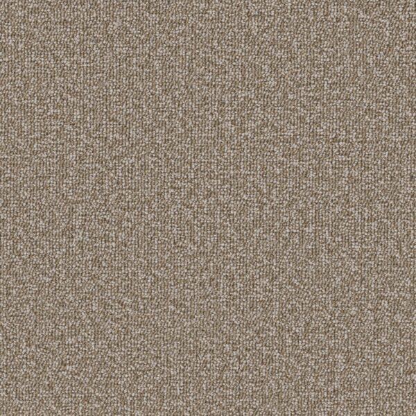 Philadelphia Commercial Carpet Avenue Sherwood 00204_54989