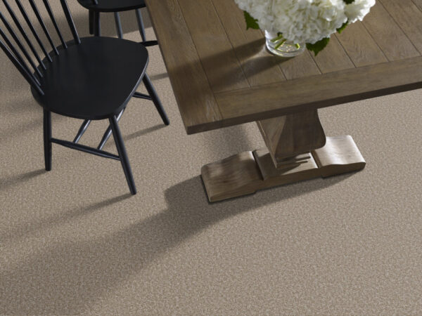 Philadelphia Commercial Carpet Avenue Sherwood 00204_54989 - Image 2