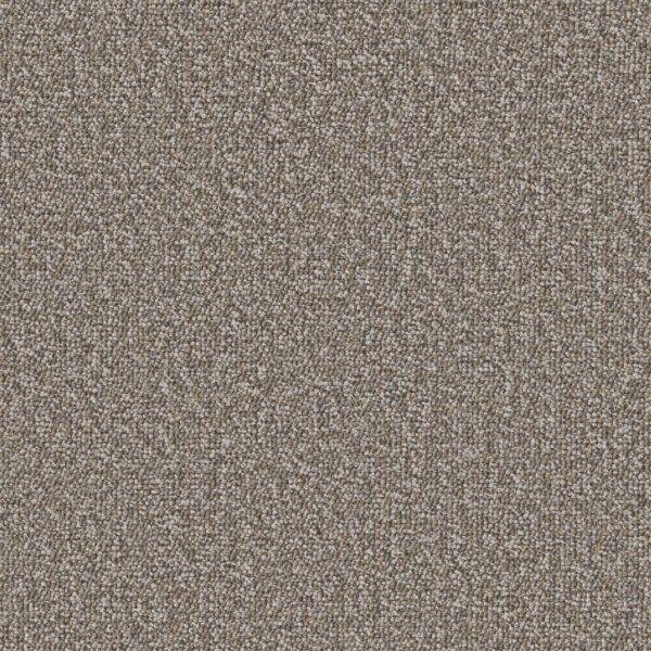 Philadelphia Commercial Carpet Avenue Lincoln 00210_54989