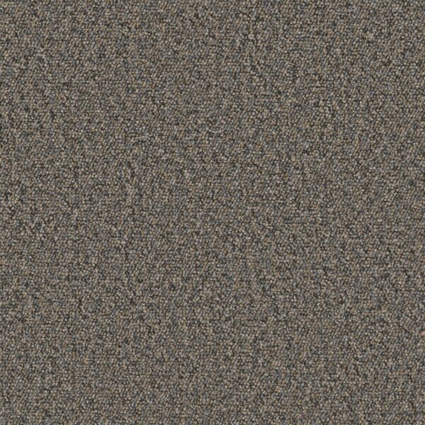 Philadelphia Commercial Carpet Avenue Jackson 00502_54989