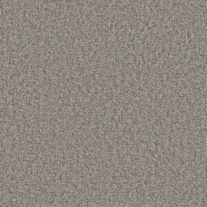 Philadelphia Commercial Carpet Avenue Linden 00503_54989