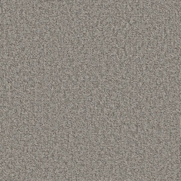 Philadelphia Commercial Carpet Avenue Linden 00503_54989