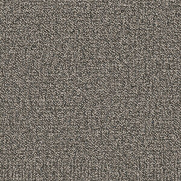 Philadelphia Commercial Carpet Avenue Washington 00504_54989