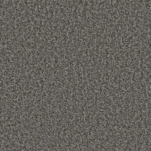 Philadelphia Commercial Carpet Avenue Monroe 00506_54989