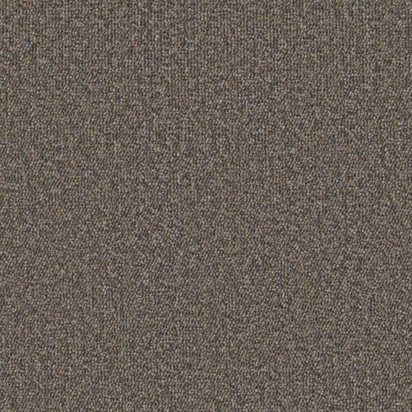 Philadelphia Commercial Carpet Avenue Truman 00700_54989