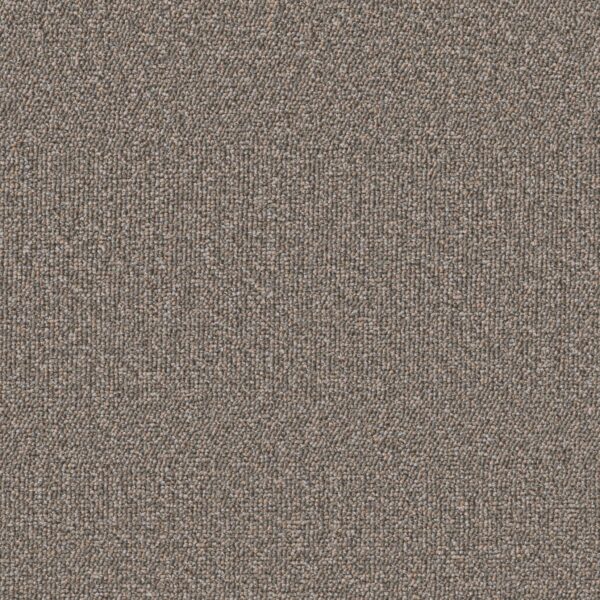Philadelphia Commercial Carpet Avenue Kennedy 00702_54989