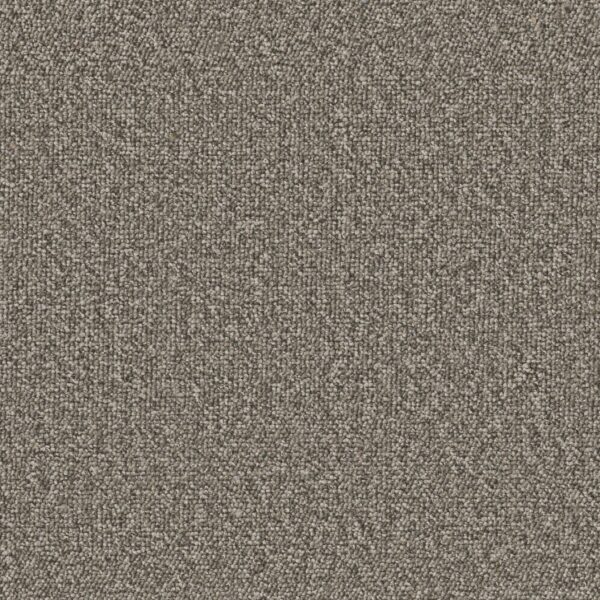 Philadelphia Commercial Carpet Avenue Johnson 00704_54989