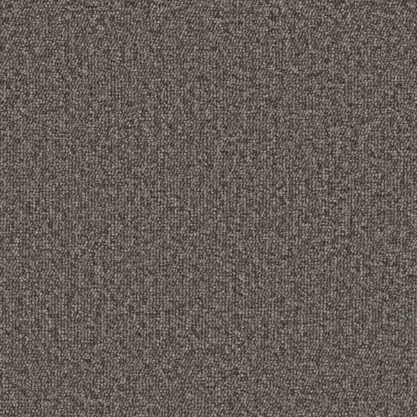 Philadelphia Commercial Carpet Avenue Arthur 00708_54989